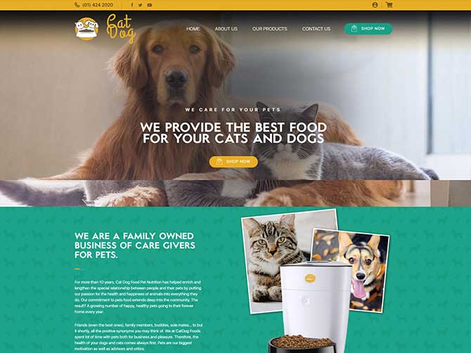 Cat Dog Foods Website Designed By Amarta Dey